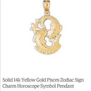 14k Gold Pisces Charm